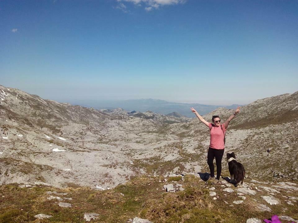 Penzion La Corrolada Avín Exteriér fotografie